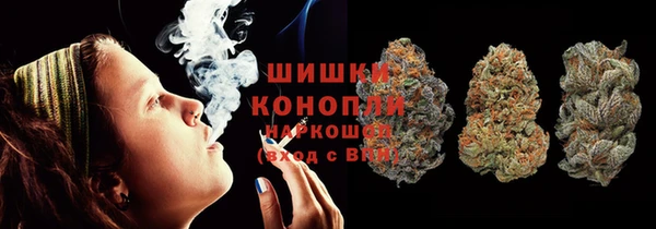 спайс Алзамай