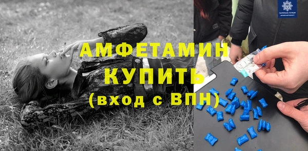 ГАЛЛЮЦИНОГЕННЫЕ ГРИБЫ Алексин