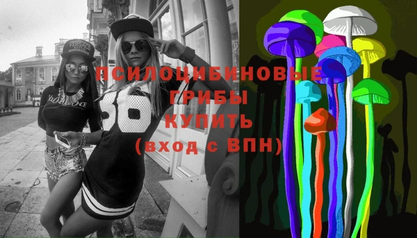 ГАЛЛЮЦИНОГЕННЫЕ ГРИБЫ Алексин