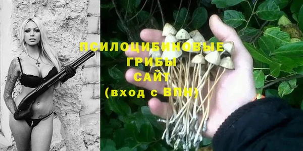 спайс Алзамай