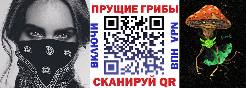 Галлюциногенные грибы прущие грибы  Новороссийск 
